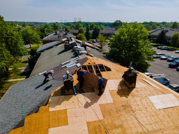 Residential Roof Replacement in Minden, LA