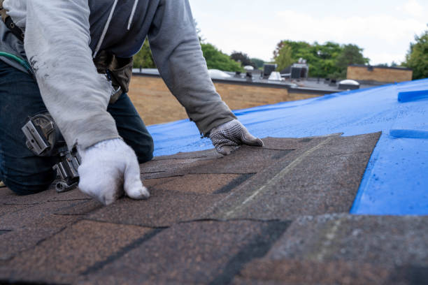 Professional Roofing Contractor in Minden, LA